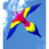 Ocean Breeze Lorikeet Kite -Novelty Toys Sales 908e74bbfb0afd439d63e0ee47ba4bb1 thumb