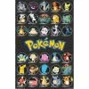 Pokemon Poster 85cm X 55cm Assorted -Novelty Toys Sales c092c1dee7f84edeaa42d6566d2185f3 thumb